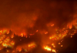 Ille-et-Vilaine : Risque de feux de forêts