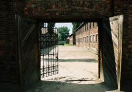 Toutes Les Vies européennes sont  mortes à Auschwitz  –  par Sébastien Vilar Rodriguez
