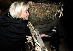 Merdrignac : Marine Le Pen  visite une exploitation laitière bio