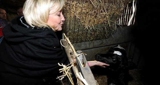 Merdrignac : Marine Le Pen  visite une exploitation laitière bio